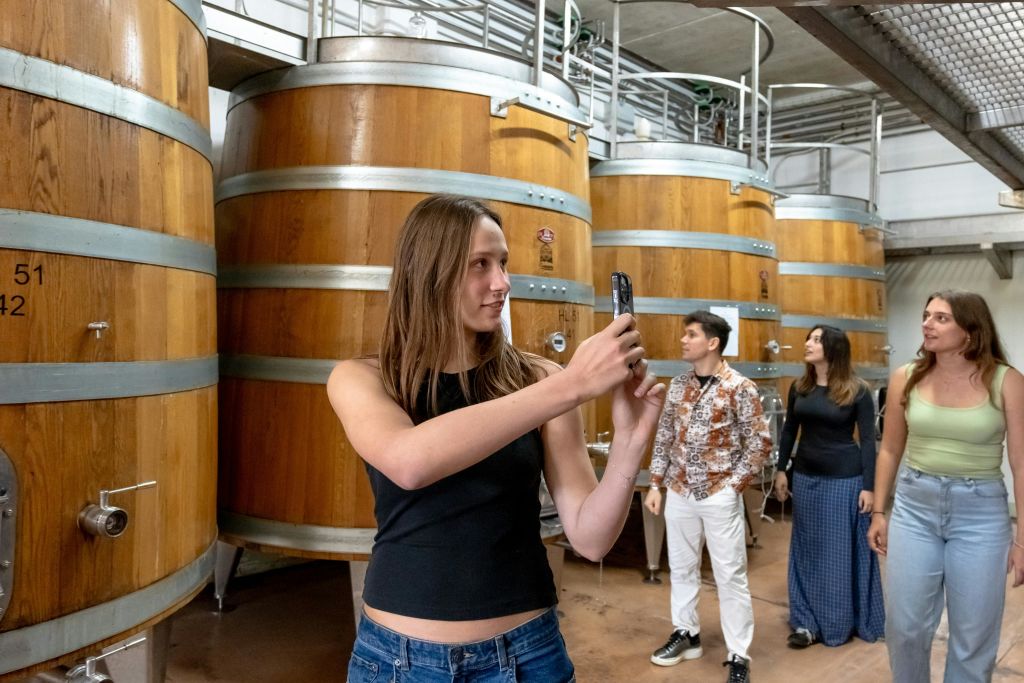 가족 소유의 토스카나 와이너리 가이드 투어를 통해 와인 제조 과정에 대해 알아보세요.