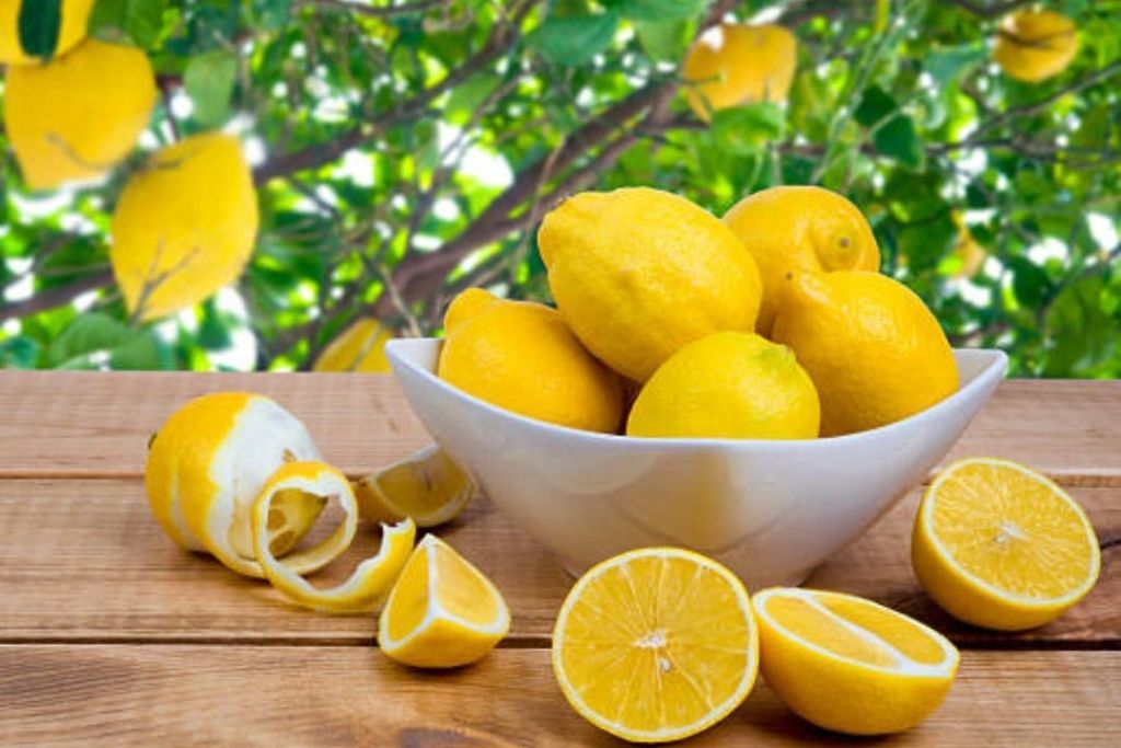 나무 표면에 레몬이 가득 담긴 하얀 그릇에 레몬 반쪽, 슬라이스, 껍질이 둘러싸여 있습니다. 잎이 무성한 배경입니다.