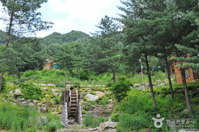 칼봉산 자연 휴양림