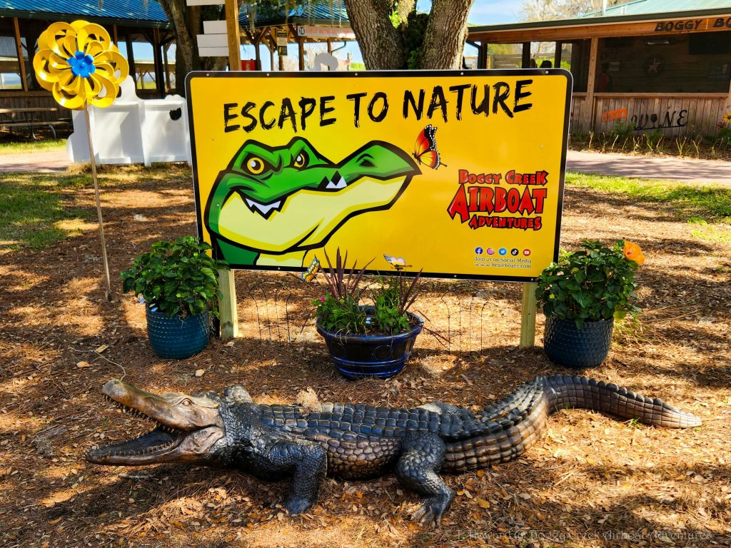 공원 사진 촬영 - # EscapeToNature