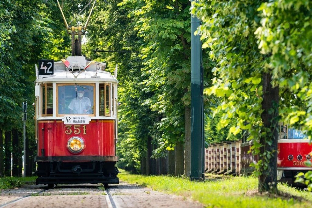 관광 트램 42호선