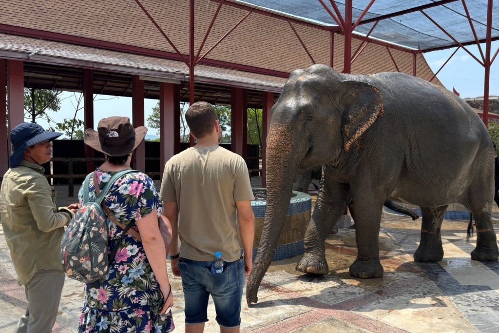 모자를 쓰고 티셔츠를 입은 세 사람이 나무를 배경으로 지붕이 덮인 공간의 코끼리 근처에 서 있습니다.