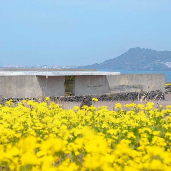 [제주] 유민아르누보뮤지엄