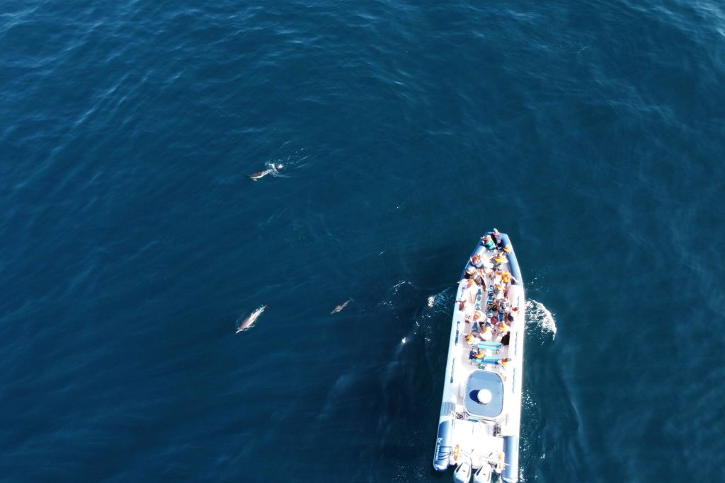 위에서 본 모습