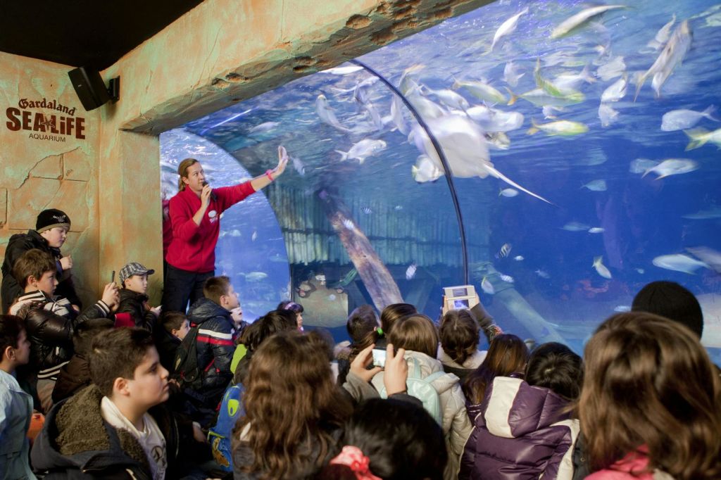 가르다랜드 SEA LIFE 수족관의 대형 수족관 터널 앞에서 빨간 셔츠를 입은 가이드가 어린이 관객과 이야기를 나누고 있습니다.
