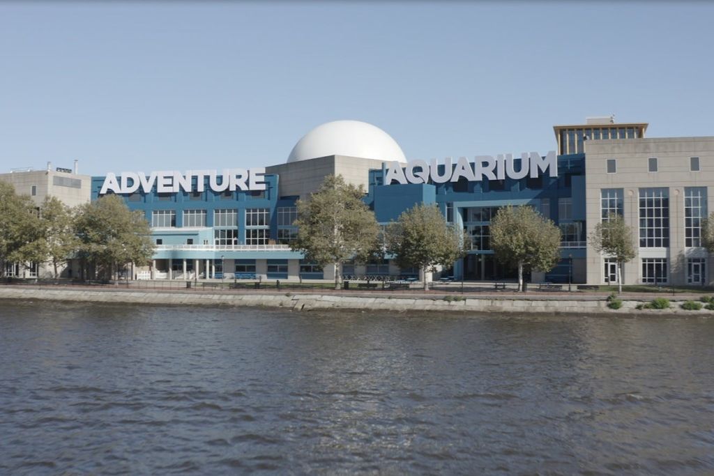 어드벤처 아쿠아리움