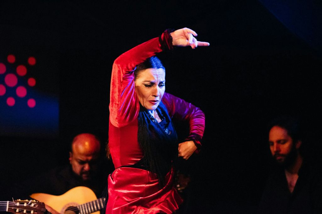 Seville Tapas & Flamenco Tour