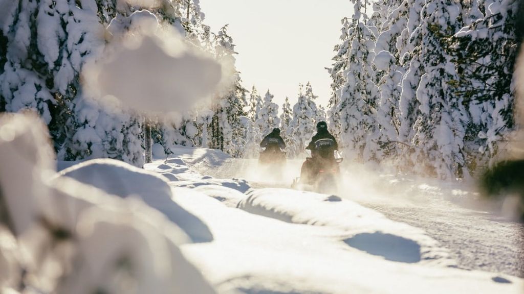 화창한 날 눈 덮인 나무로 둘러싸인 눈 덮인 산책로에서 두 사람이 스노모빌을 타고 있습니다.