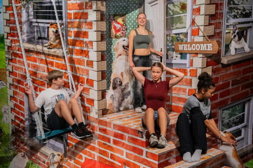 Dog Wonderland에 오신 것을 환영합니다!