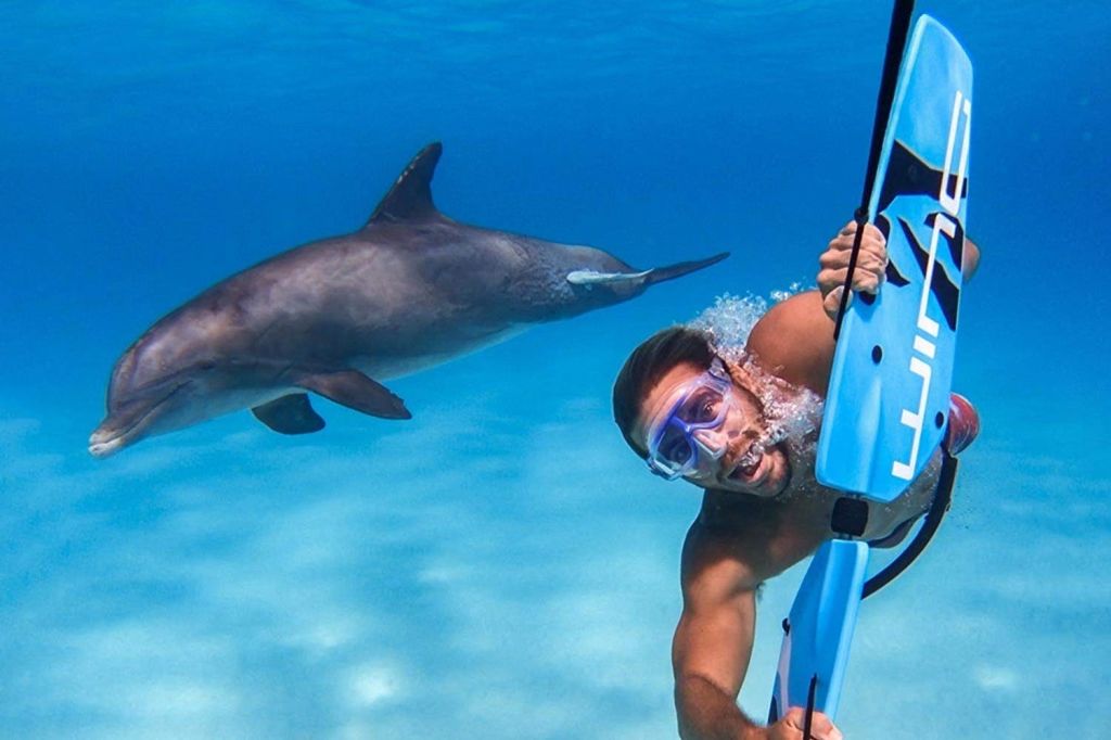 카메라를 든 스노클러가 맑고 푸른 물 속에서 돌고래 옆을 헤엄치고 있습니다.