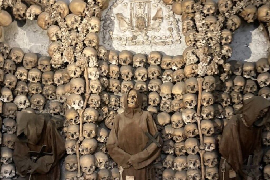 돌과 뼈로 보존된 과거의 메아리.