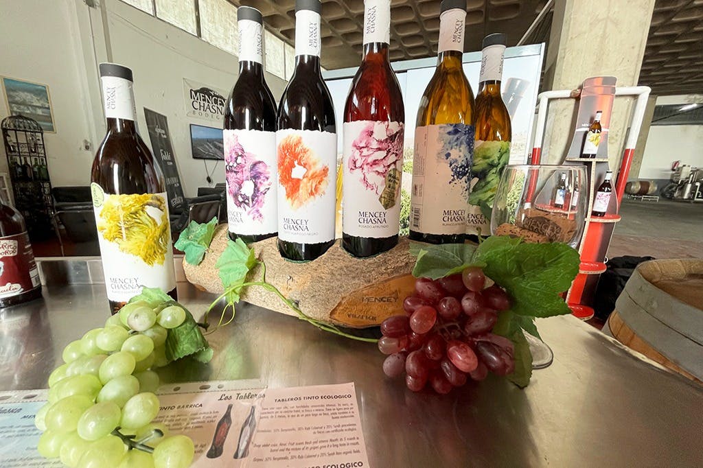 카나리아 와인 선택