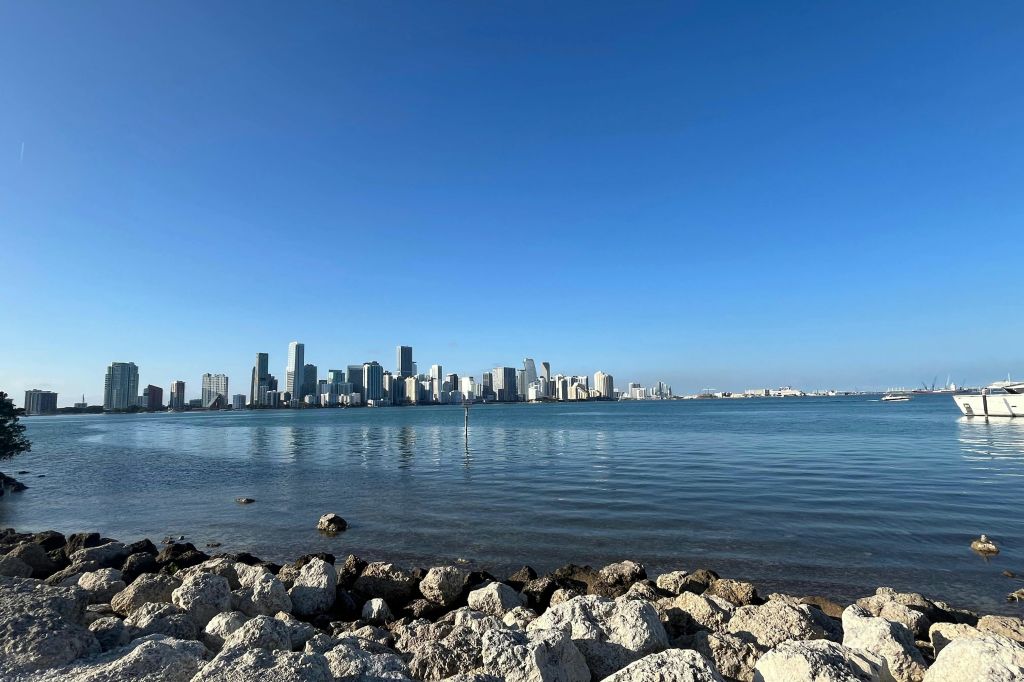 마이애미의 숨겨진 스카이라인 셀카 명소