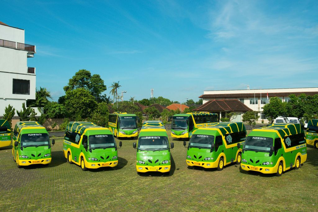 푸른 하늘 아래 나무와 건물을 배경으로 초록색과 노란색 투어 버스 7대가 잔디밭에 주차되어 있습니다.