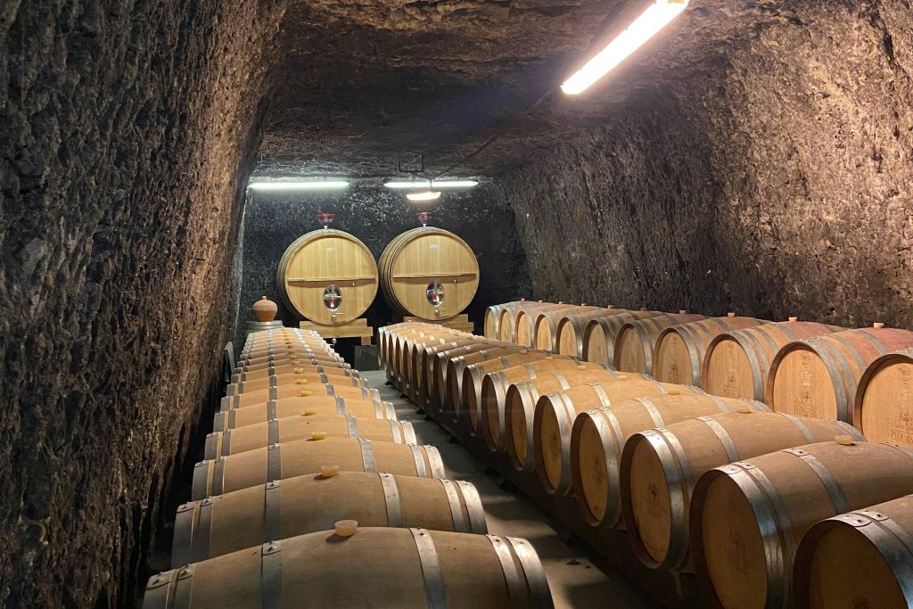 지하실 방문하기