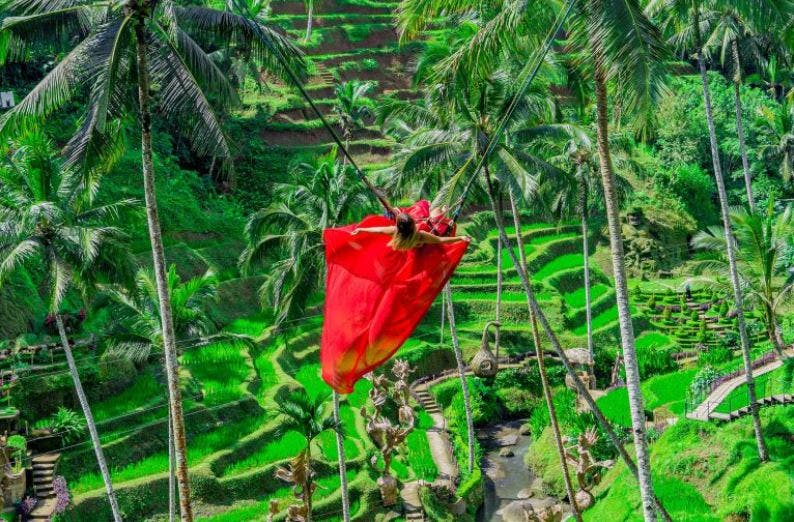 붉게 흐르는 드레스를 입은 사람이 키 큰 야자수 사이를 가로질러 녹음이 우거진 테라스 풍경을 감상합니다.