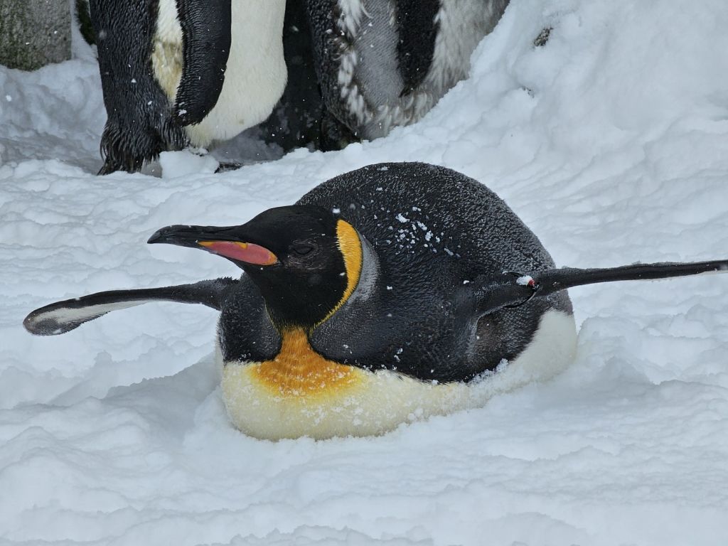 알파코인 노래연습장