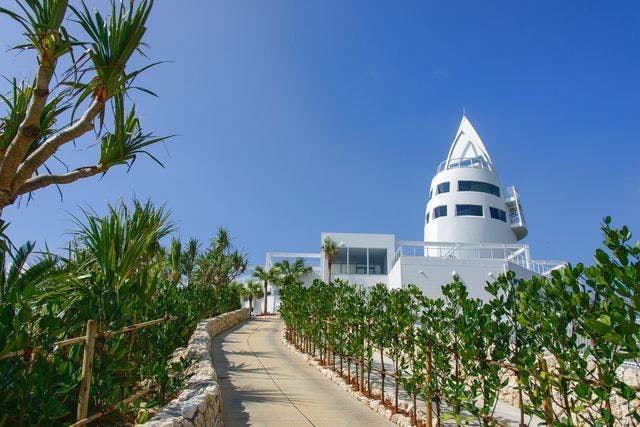 맑고 푸른 하늘 아래 구불구불한 통로를 따라 울창한 녹음 속에 독특한 뾰족한 지붕의 하얀 탑이 서 있습니다.