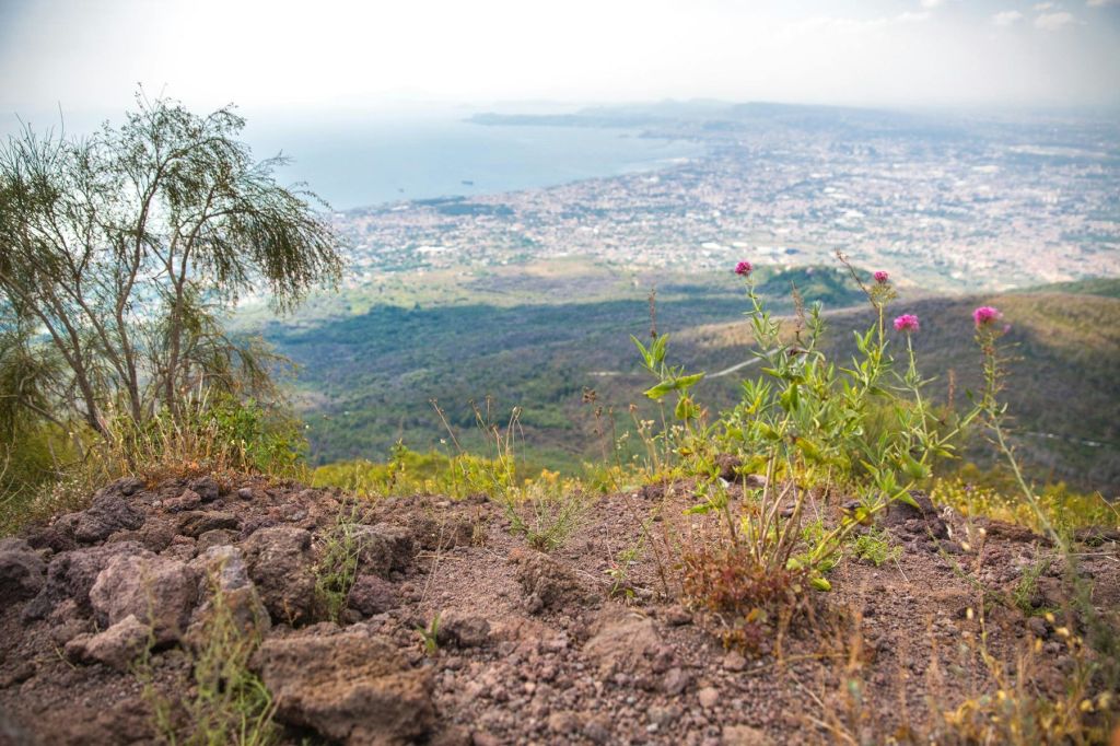베수비오 전망