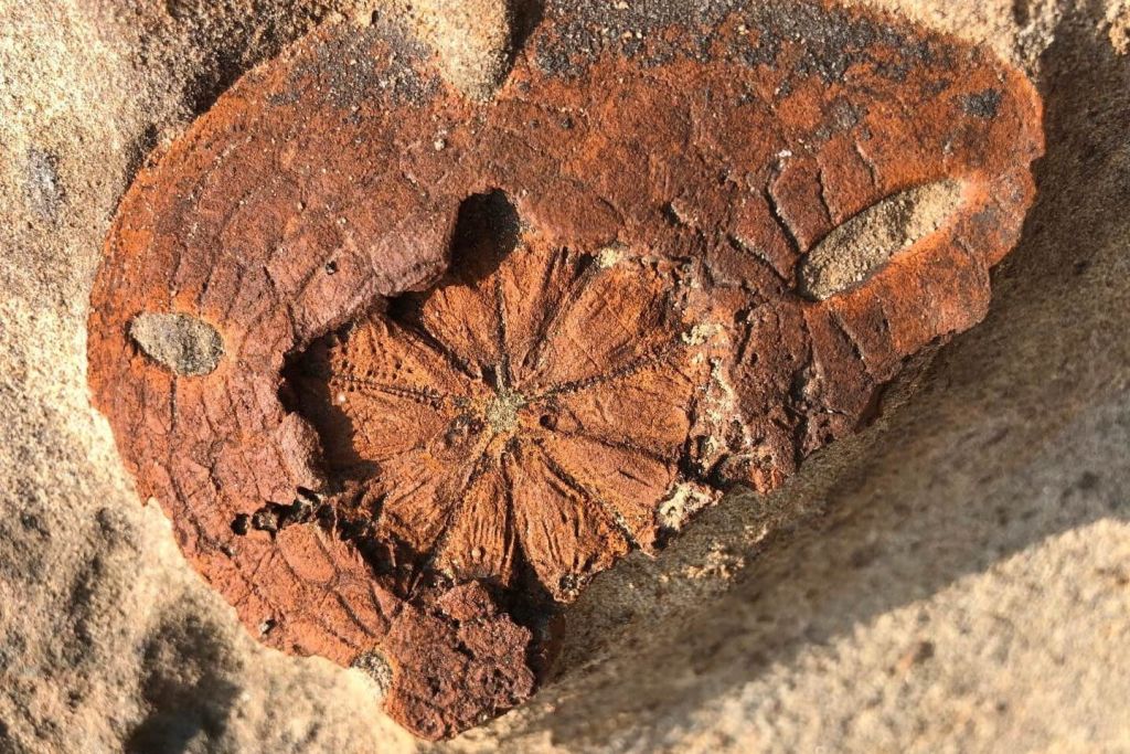 옐리우지질공원