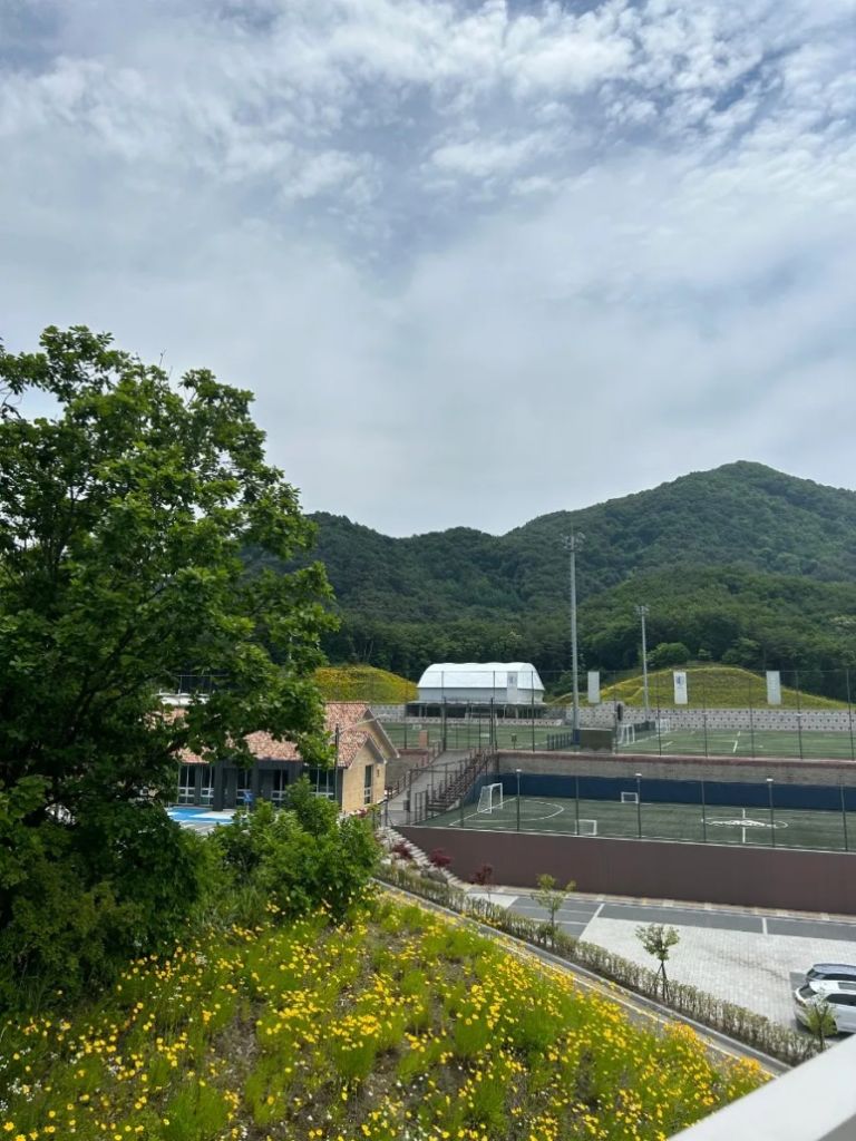 인필드