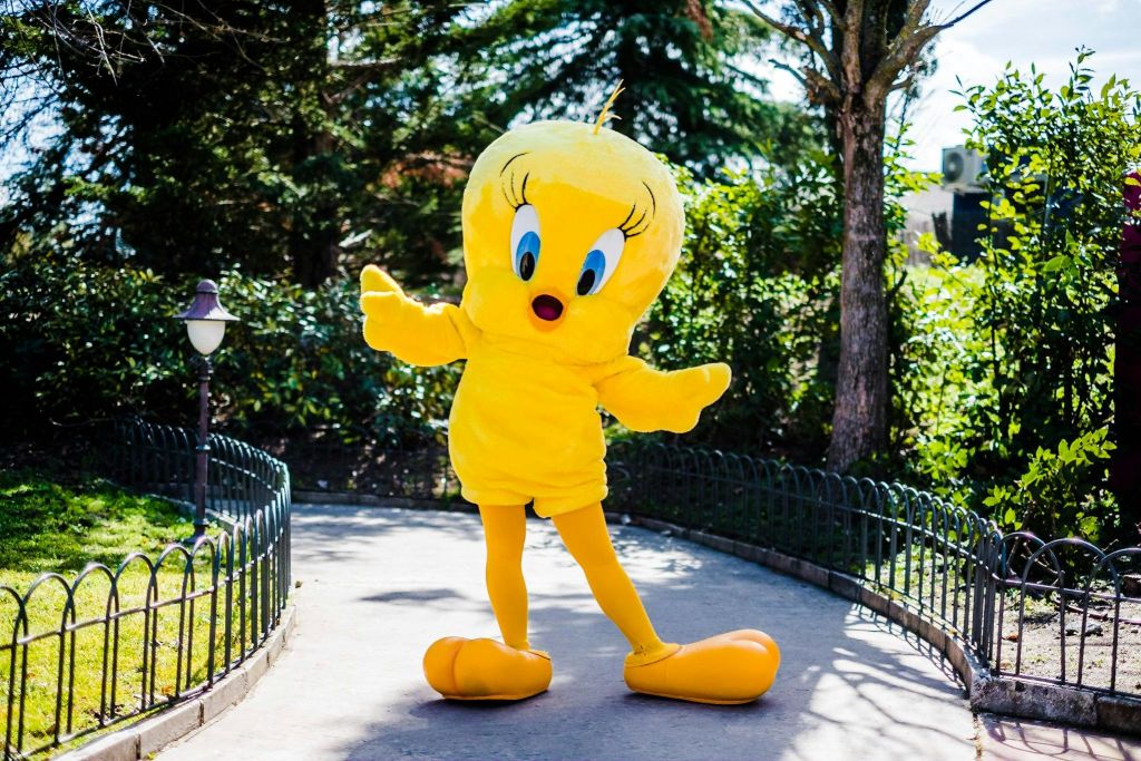 피올린워너파크