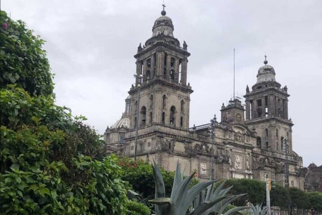 흐린 하늘 아래 푸른 식물 뒤에 역사적인 석조 대성당 탑이 우뚝 솟아 있습니다.