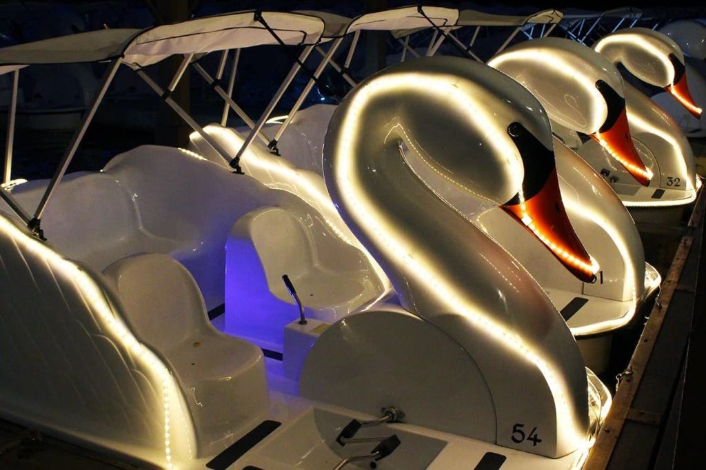 휠체어로 즐기는 레인보우라군 백조 보트 투어