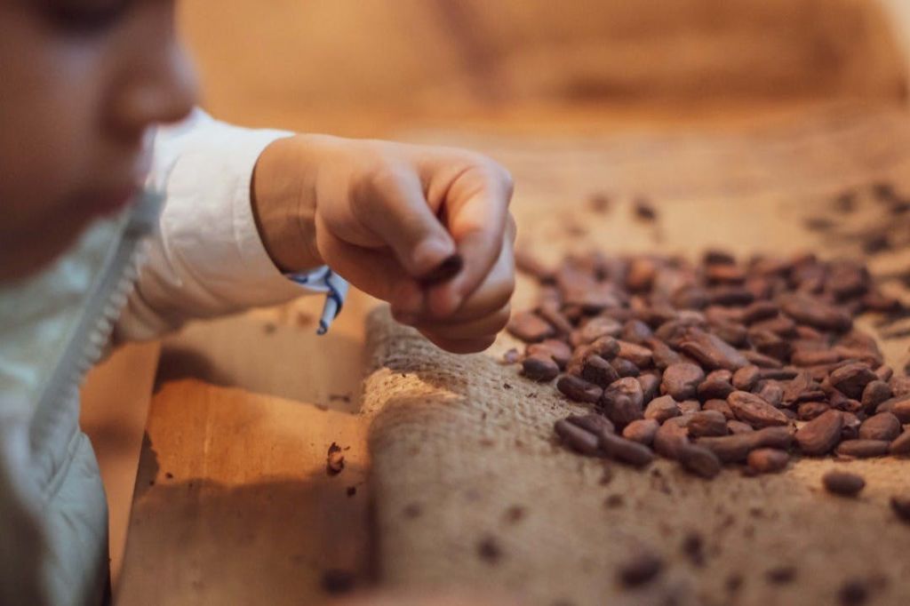 20세까지 초콜릿 체험 | 20