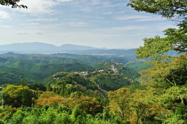 요시노 산