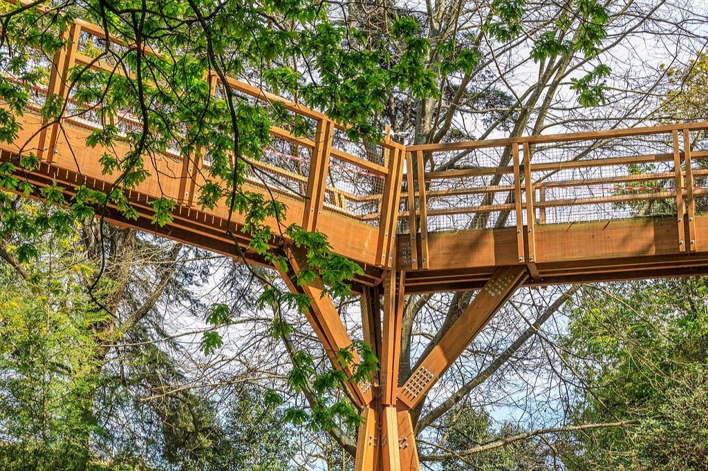 페르난도 게라 | FG + SG