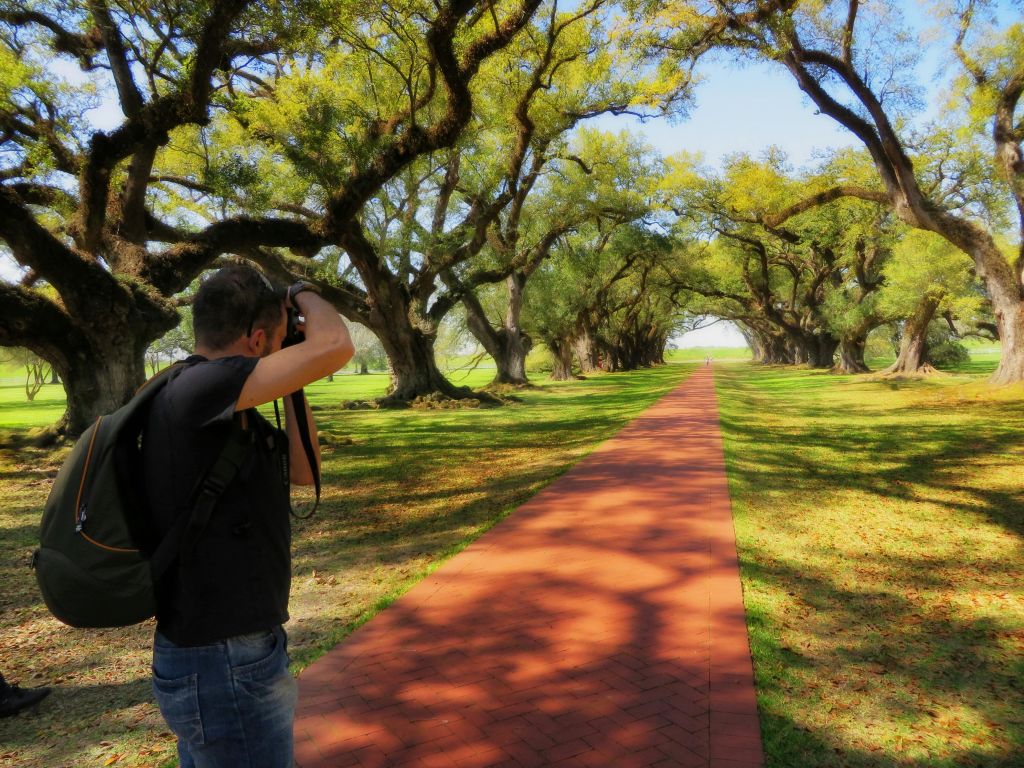한 사람이 푸른 잎이 무성한 커다란 나무 캐노피 아래에서 멀리까지 이어지는 길고 나무가 늘어선 붉은 벽돌 길을 촬영하고 있습니다.