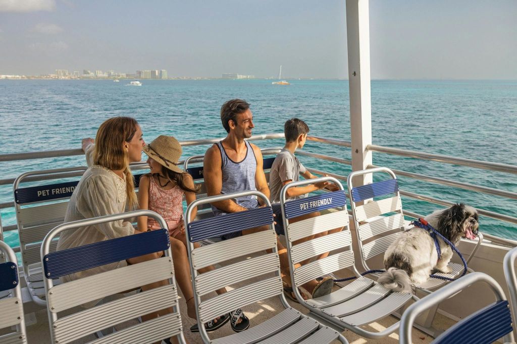 반려동물 동반 가능