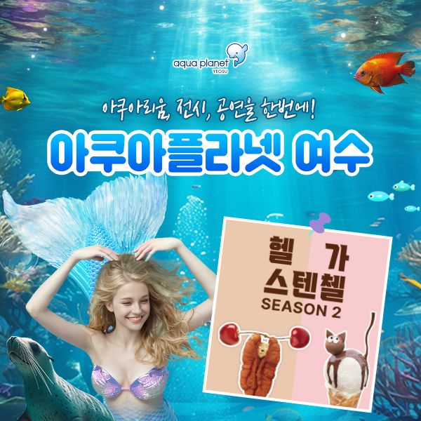 아쿠아플라넷 여수 입장권