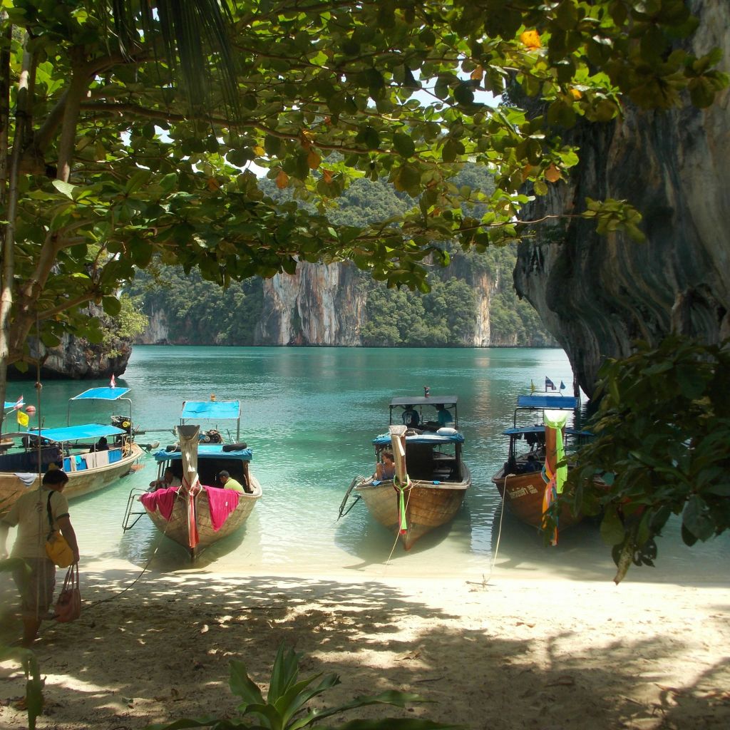 청록색 바다 위로 울창한 나무와 절벽으로 둘러싸인 모래 해변에 5척의 다채로운 보트가 정박해 있습니다.