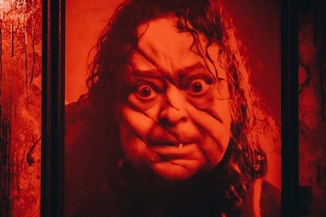 리플리의 스모키 수족관 + 2 ~ 3곳의 관광명소 더 보기