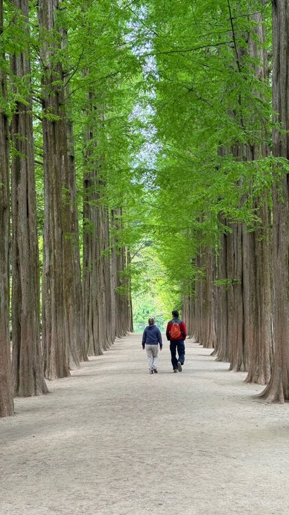 Four Seasons of Nami Island with Garden of Morning Calm Tour