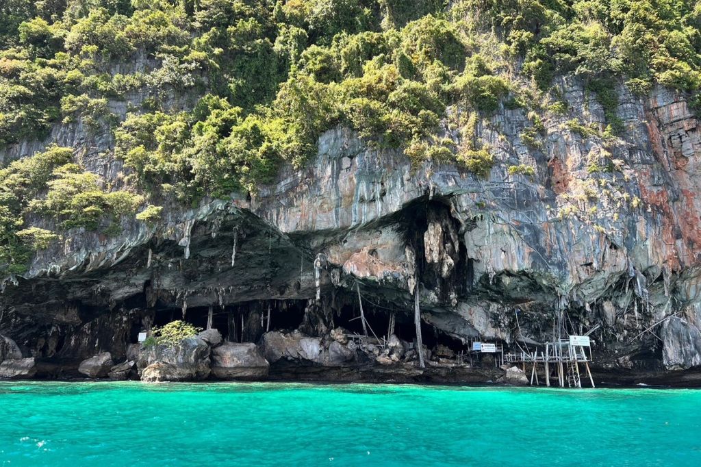 새둥지를 모아 수프를 만드는 바이킹 동굴.