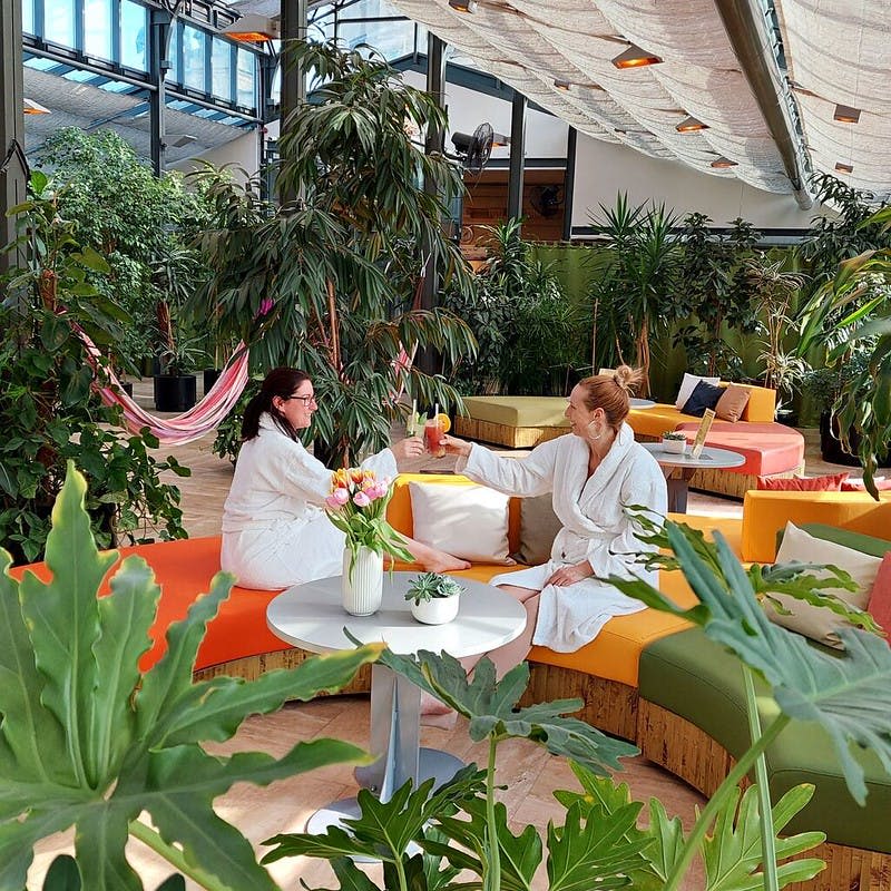 화려한 좌석과 대형 식물이 있는 울창한 실내 정원에서 흰색 가운을 입은 두 사람이 음료를 토스트합니다.