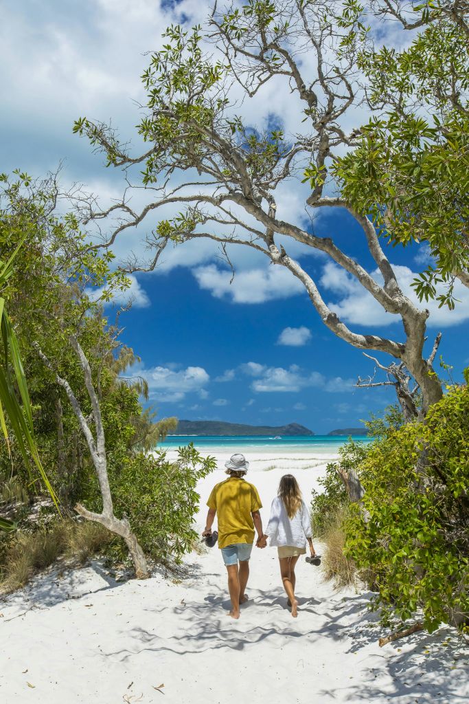 에얼리 비치 전망