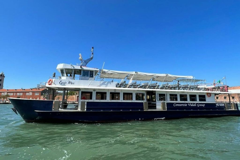 비달리 그룹 컨소시엄