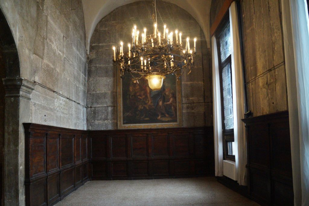 석조 벽, 목조 웨인스코팅, 대형 샹들리에, 카펫 바닥 위에 액자 그림이 있는 어두운 조명의 앤티크 룸입니다.