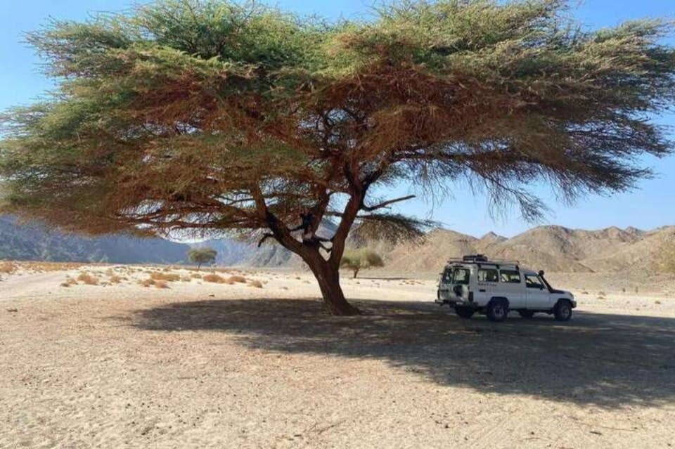 사막 텐트 마르사알람