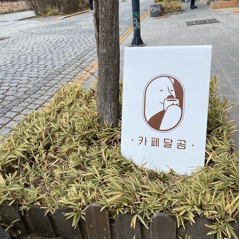 카페달곰