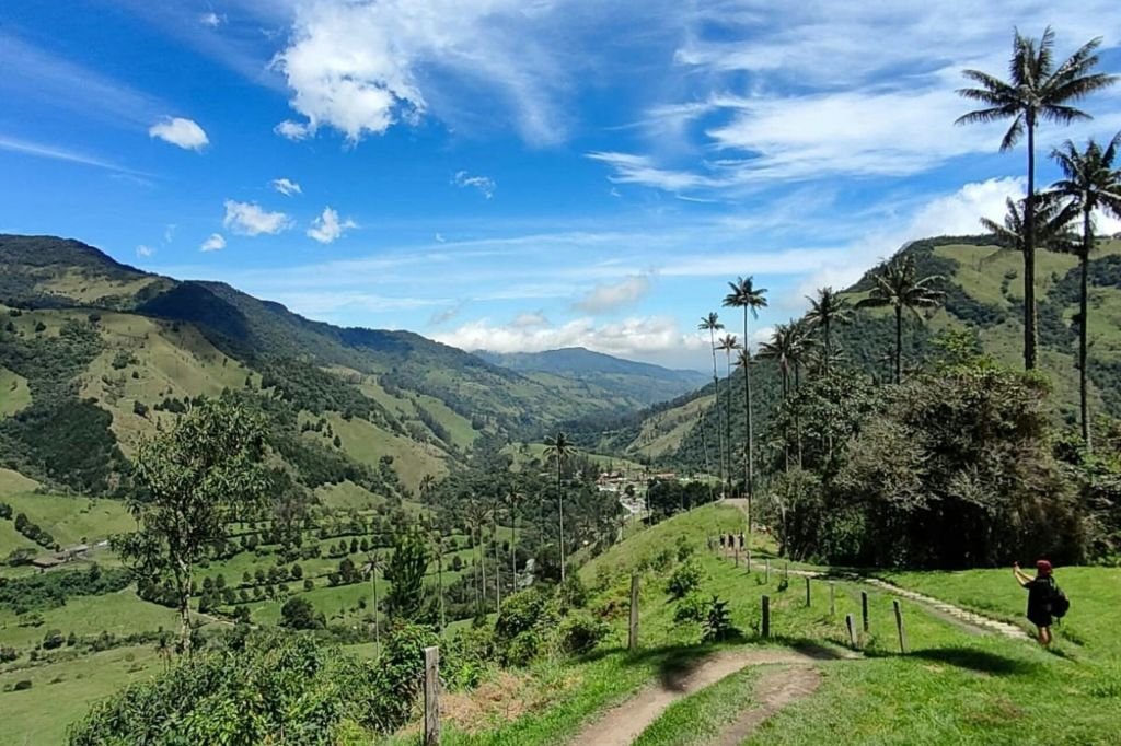 코코라 밸리 프라이빗 투어