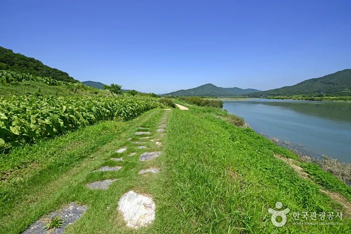 비내섬