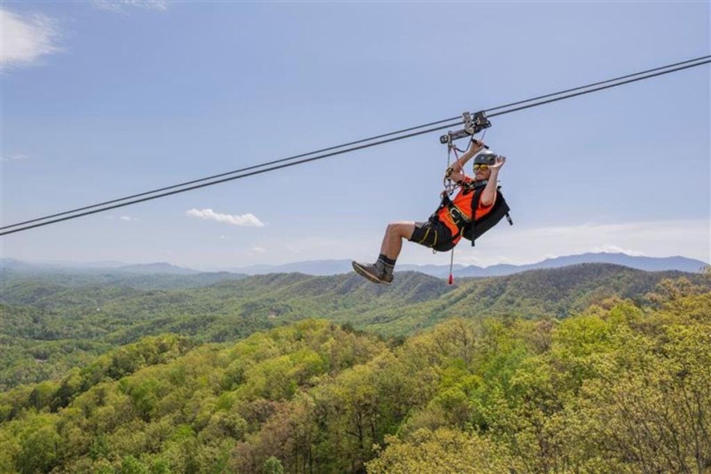 맑고 푸른 하늘 아래 숲 속 풍경을 감상하는 사람.