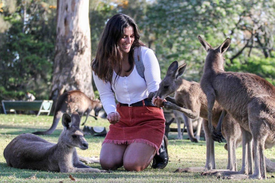 손으로 키우는 캥거루
