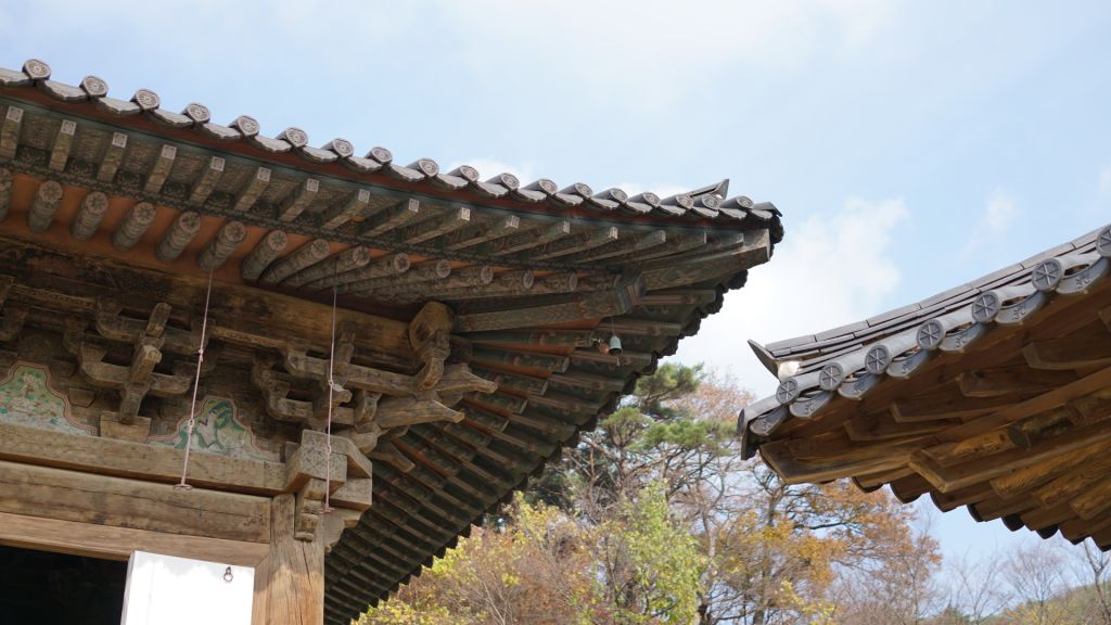 지붕의 곡선 하나에서도,