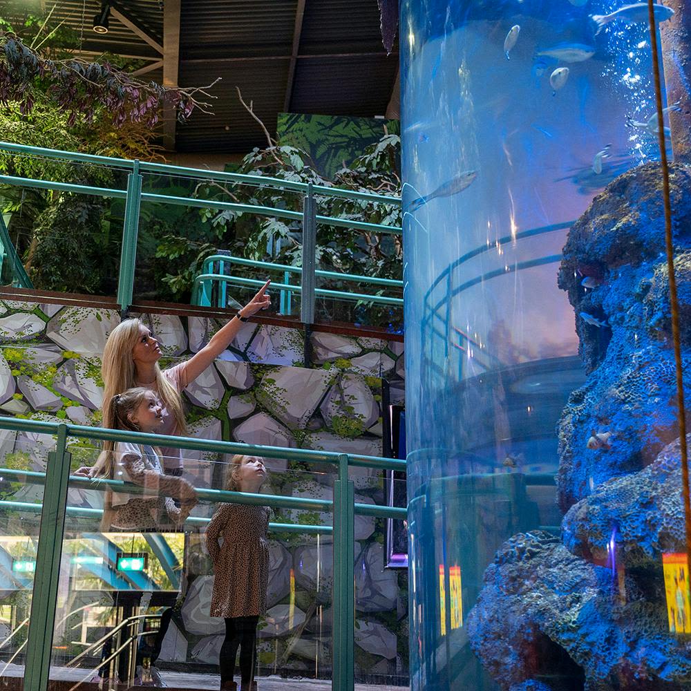 녹지와 돌담이 있는 건물 안의 커다란 원통형 수족관에서 한 여성과 두 어린이가 물고기를 바라보고 있습니다.